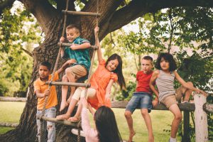 Group of children from mixed racial groups playing in a park on a rustic wooden fence and a rope ladder hanging down from a large tree on a summer day